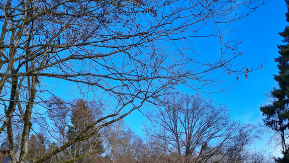 Eingang zum Friedhof